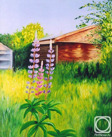 Rustamian Julia. Lupines in the country