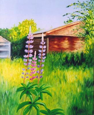 Lupines in the country