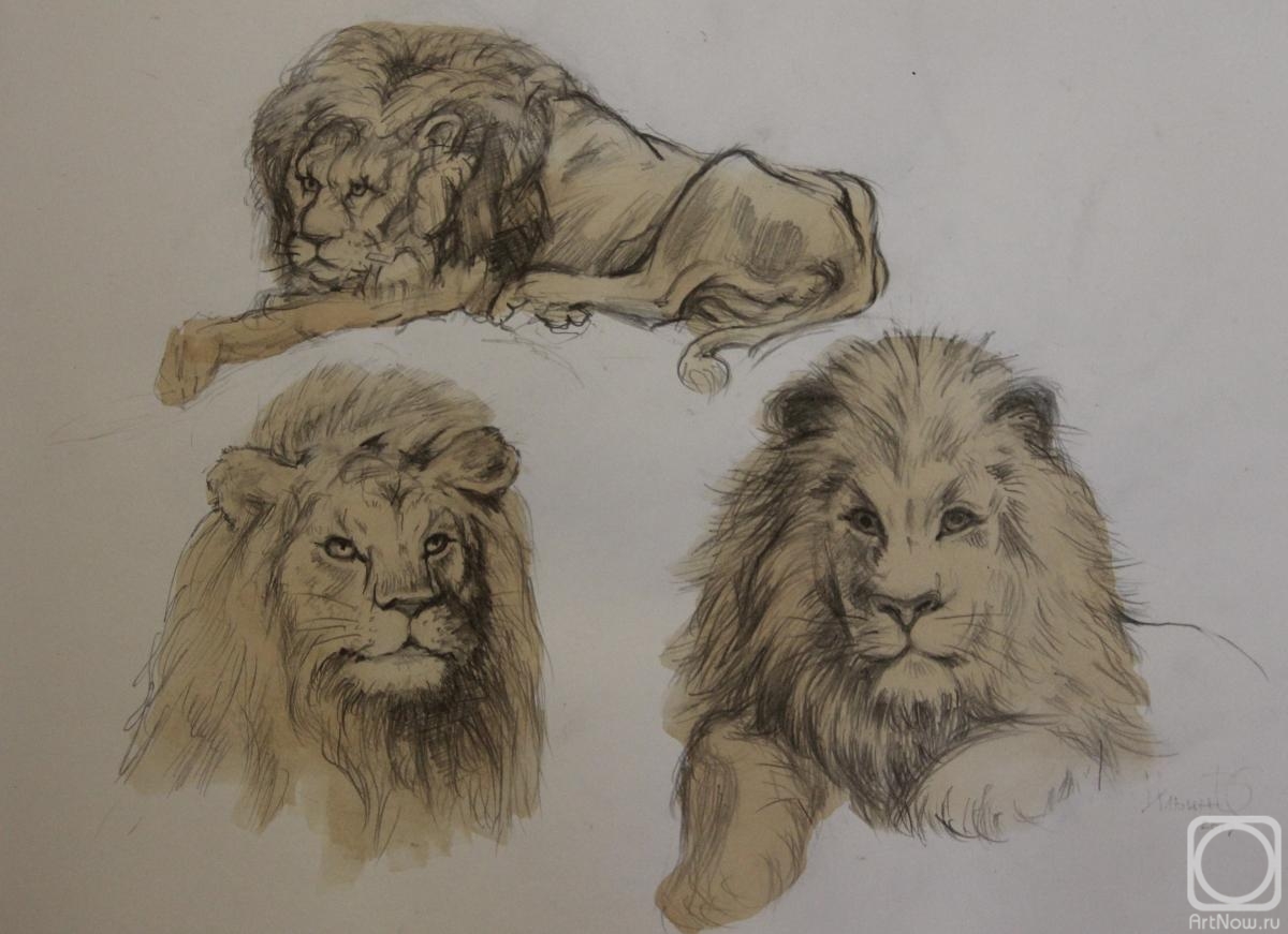 �������. ����� ��������. ������ �����