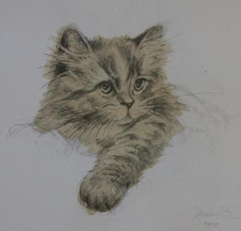The kitten. Ilin Vladimir