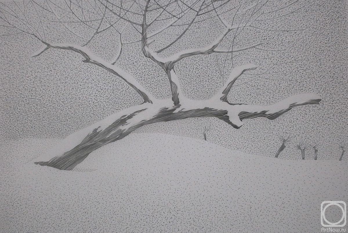 �������. �������� ����. ����� ����