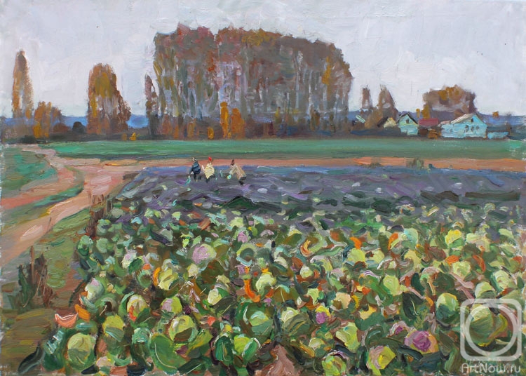 Zhukova Juliya. Cabbage field