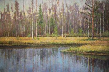 Forest lake. Sapozhnikov Yura
