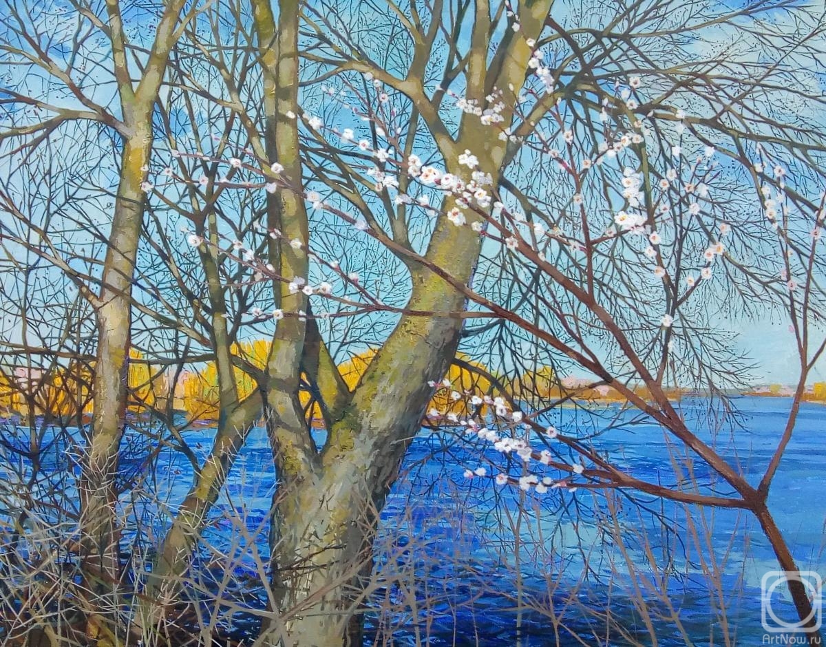 ������� ������ �� ������. ������� ������. ���������