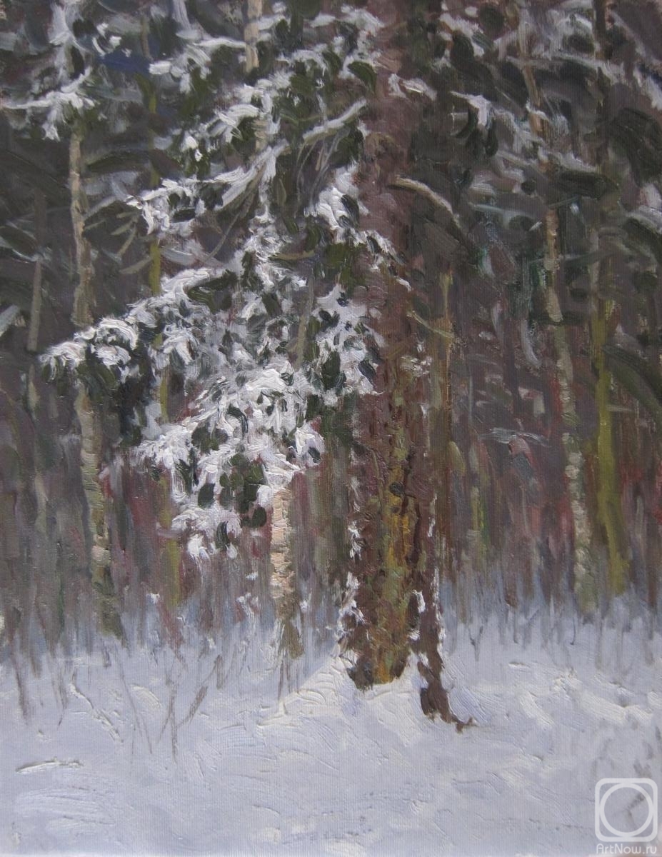 Chertov Sergey. In the winter forest