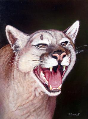 ������� �����