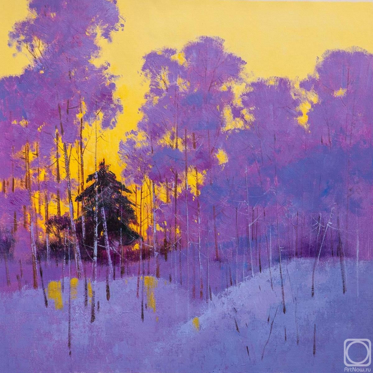 Gomes Liya. Golden sunset in the forest