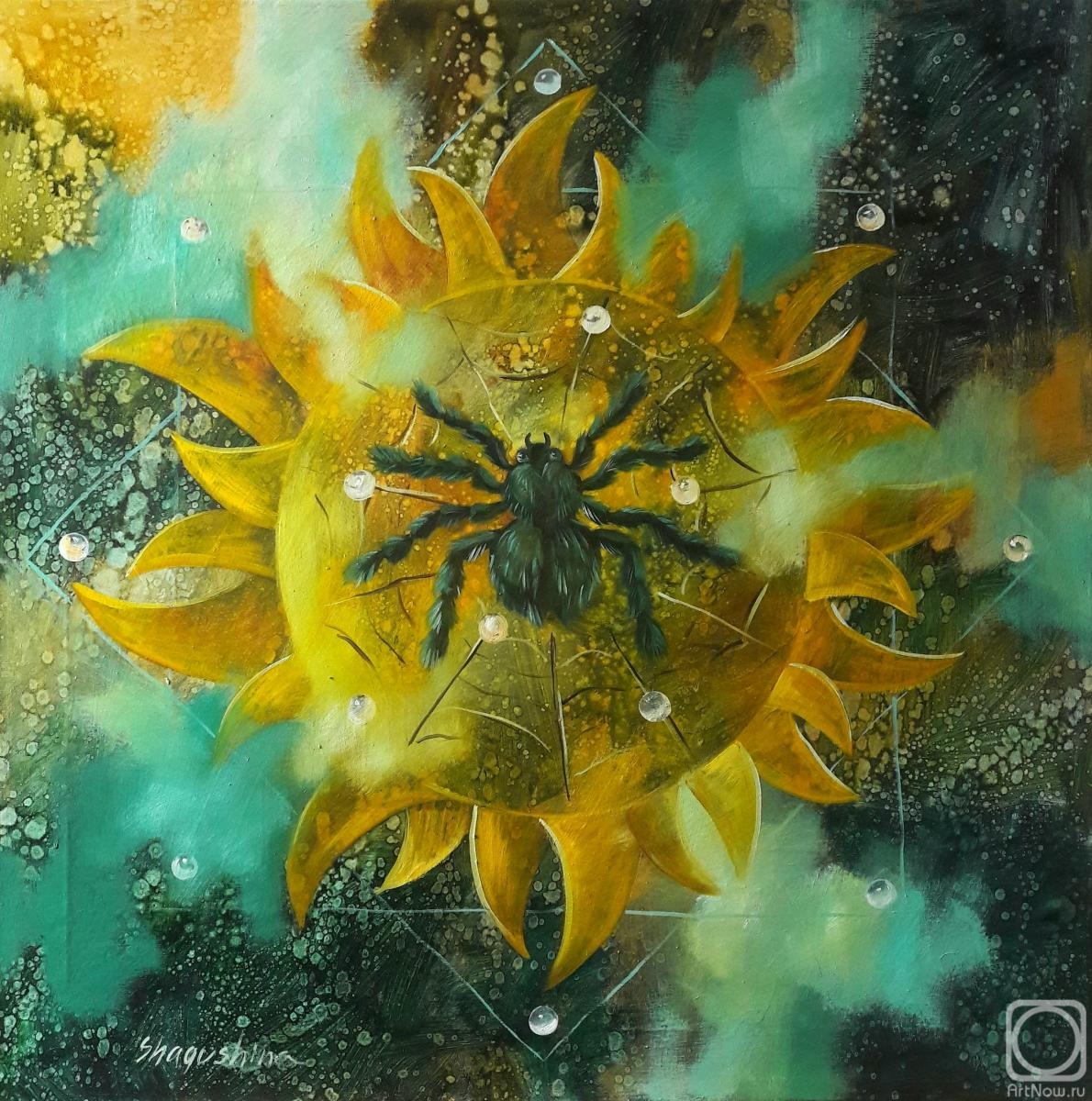 ������� ������ �� ������. �������� �����. ������ �����. ���� � ������ � �����������