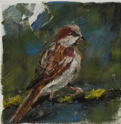 Sparrow (Sparrows On A Branch). SHved Anna