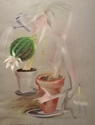 ������� ��� ����� ��������� �������� 1�