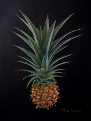 Pineapple. Kritskaya Linda