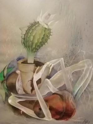 ������� ��� ����� ��������� �������� 3�