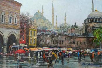 Istanbul landscape (Mosques). Ahmetvaliev Ildar