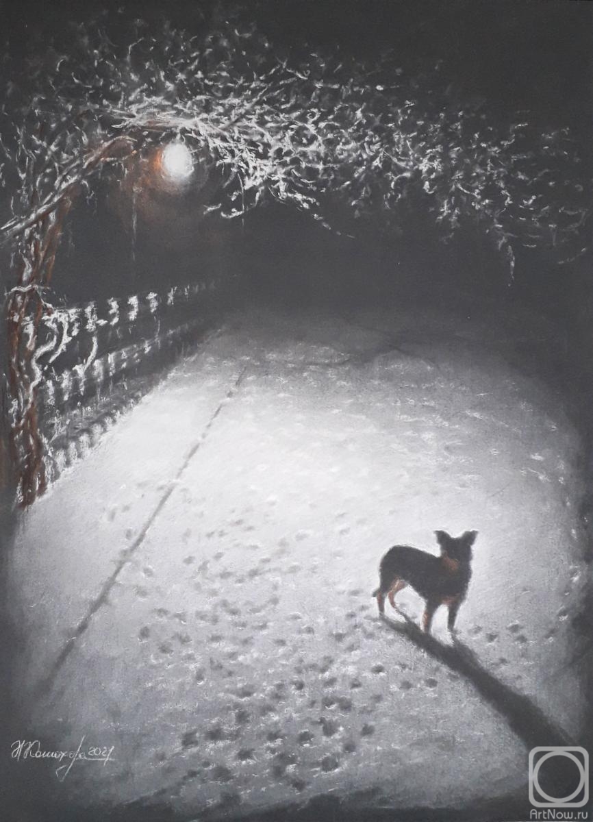 �������. �������� �������. �������� ������� ��� ������ ����