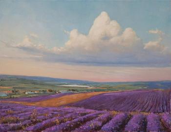 Crimean lavender
