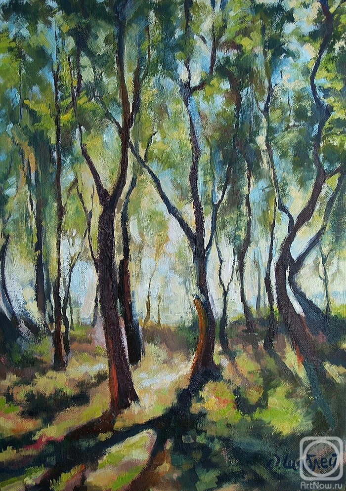 Shabley Olga. Summer day in the forest