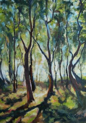 Summer day in the forest. Shabley Olga