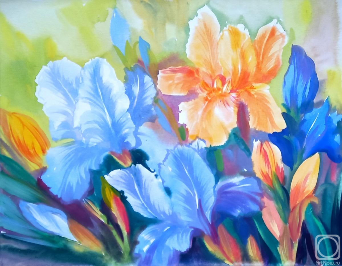 Mikhalskaya Katya. Irises and summer sun