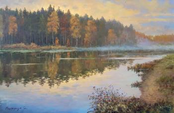 ������� ������ �� ��������