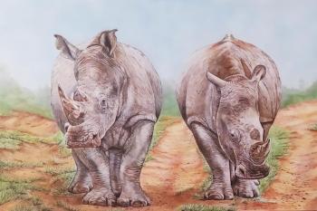 Rhinos (Safari). Litvinov Andrew