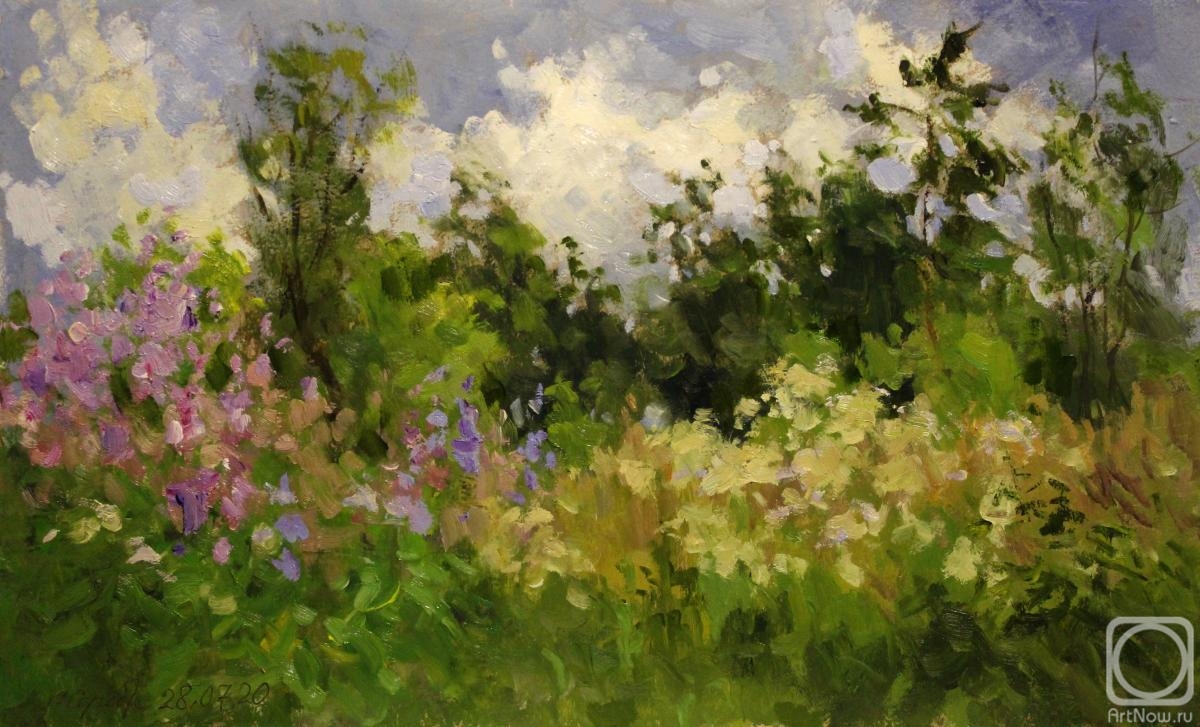 Serebrennikova Larisa. End of July