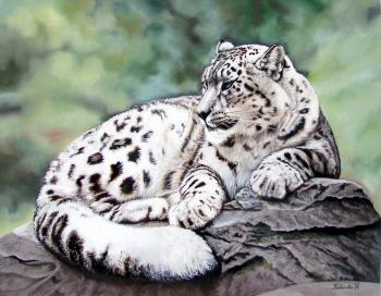 ������� �������