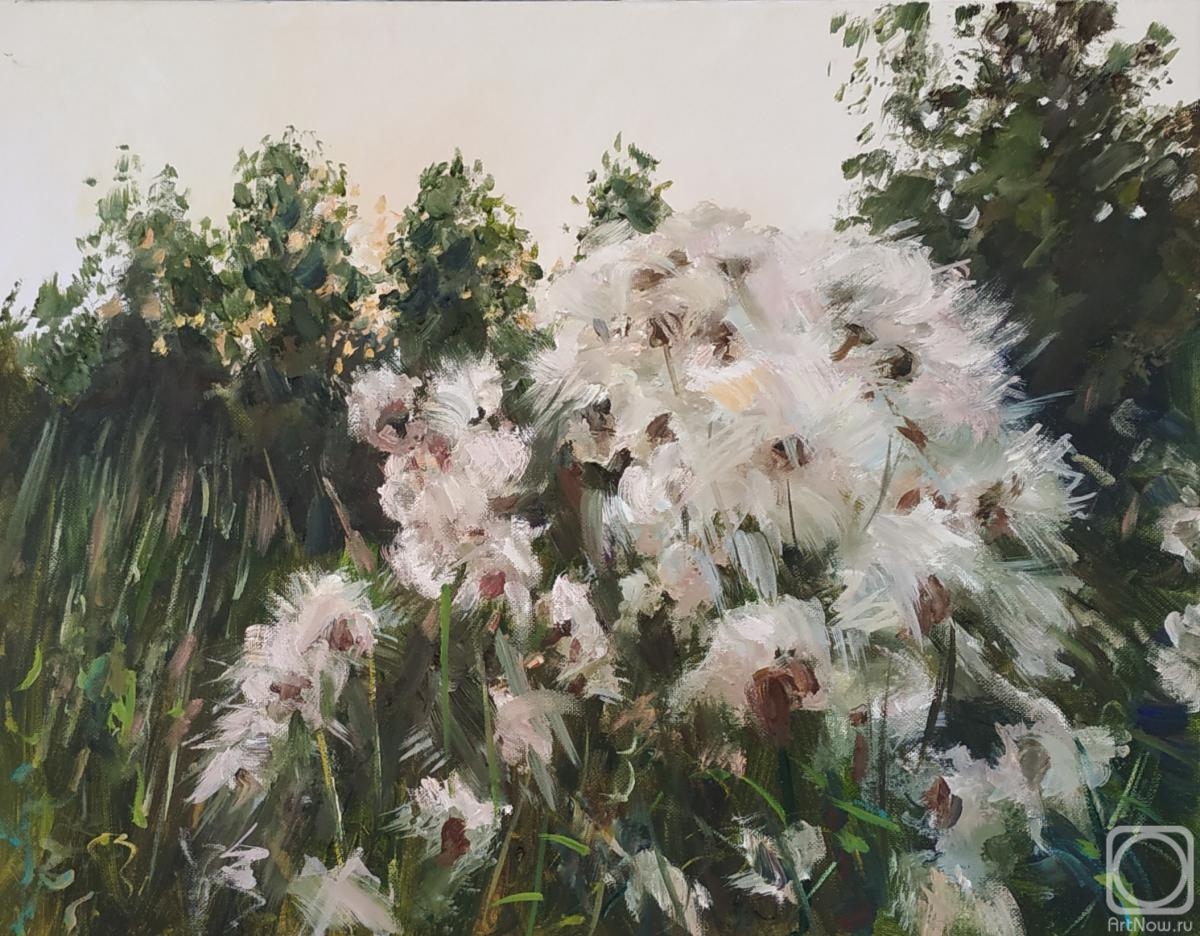 ������� ������ �� ������. ������� ������. ����������