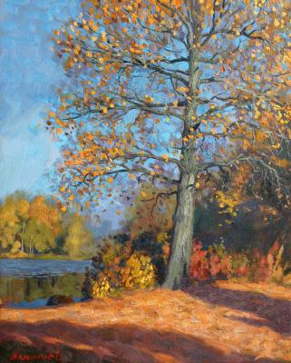 Oak by the water. Akzhgitov Ildar