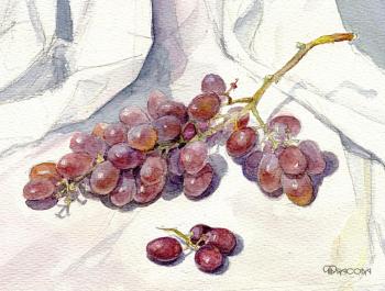 ������� ���������