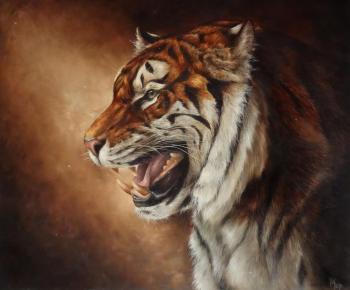 Tiger (Tiger S Head). Chuprinov Alexej