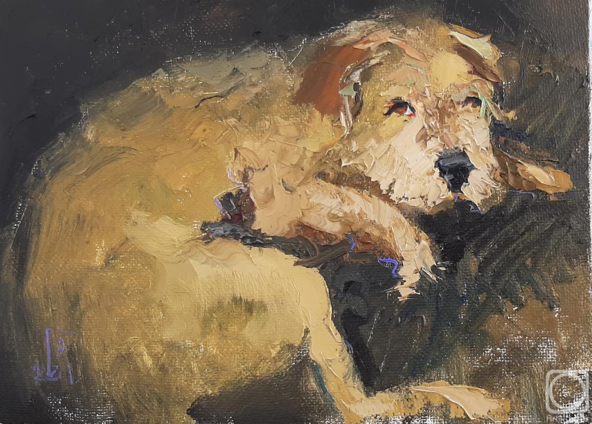 ������� ������ �� ������. ���������� �������. �����