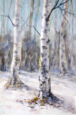 Birches. Tarasova Irena