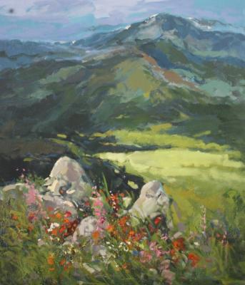 The beginning of spring in Alpine meadows. Otroshko Aleksandr