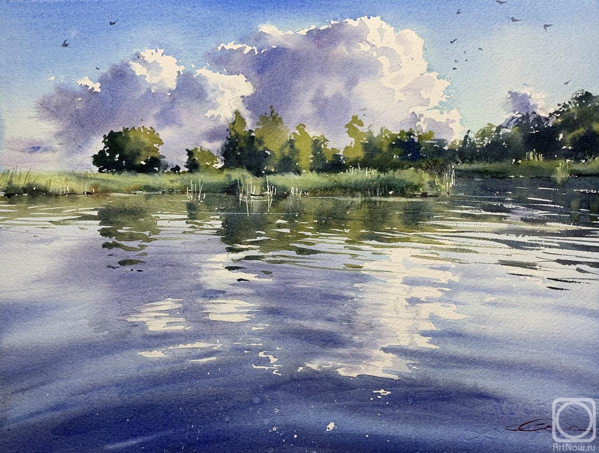 Gomzina Galina. The sky in the water