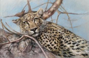 Memory of bygone days