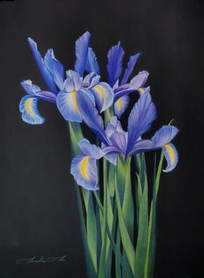 Irises. Kritskaya Linda