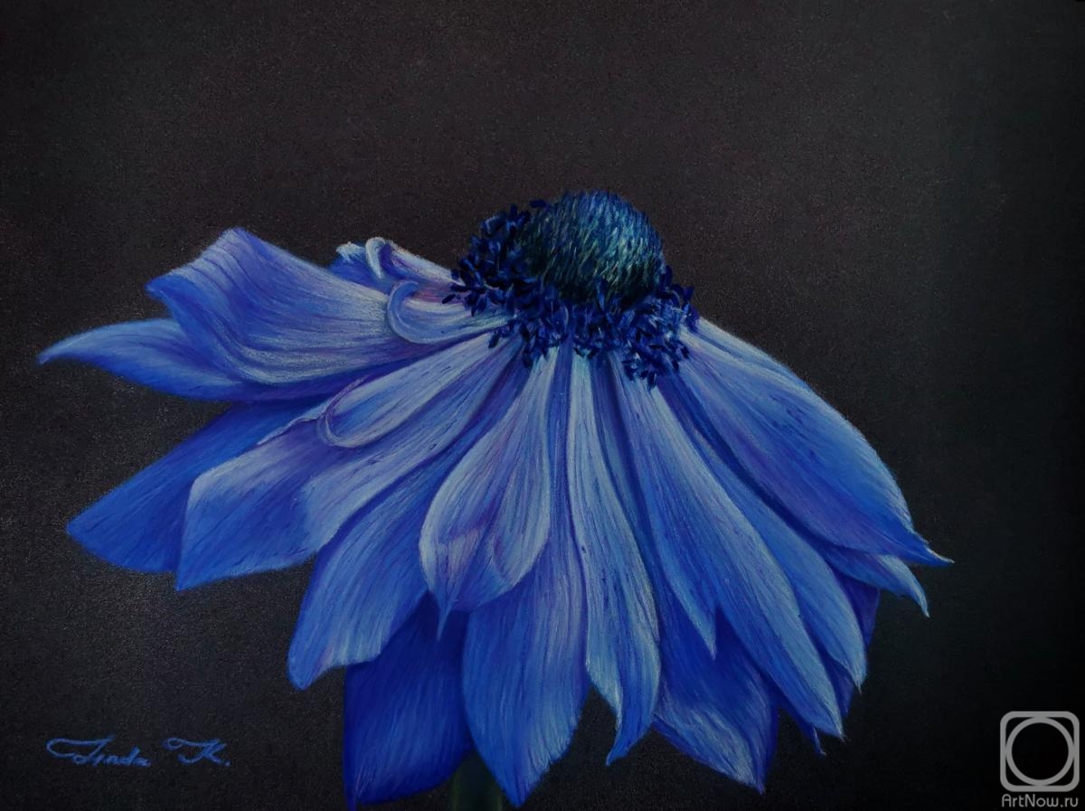 �������. ������� �����. ����� (������)