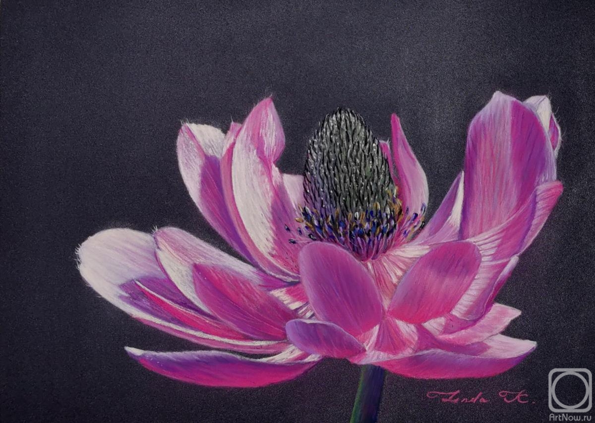 �������. ������� �����. ���� (������)