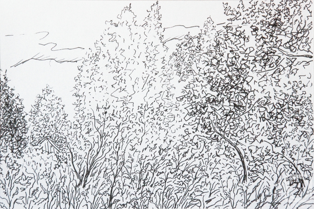 �������. ������� ���������. �� ����