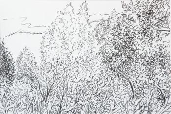 ������� ��� ����