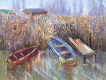 Boats and reeds