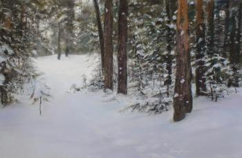 Under the snow (Landscape Under The Snow). Urzhumov Sergey