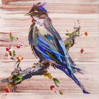 Blue Jay. Rodries Jose