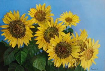 Sunflowers ( ). Kabatova Nadya