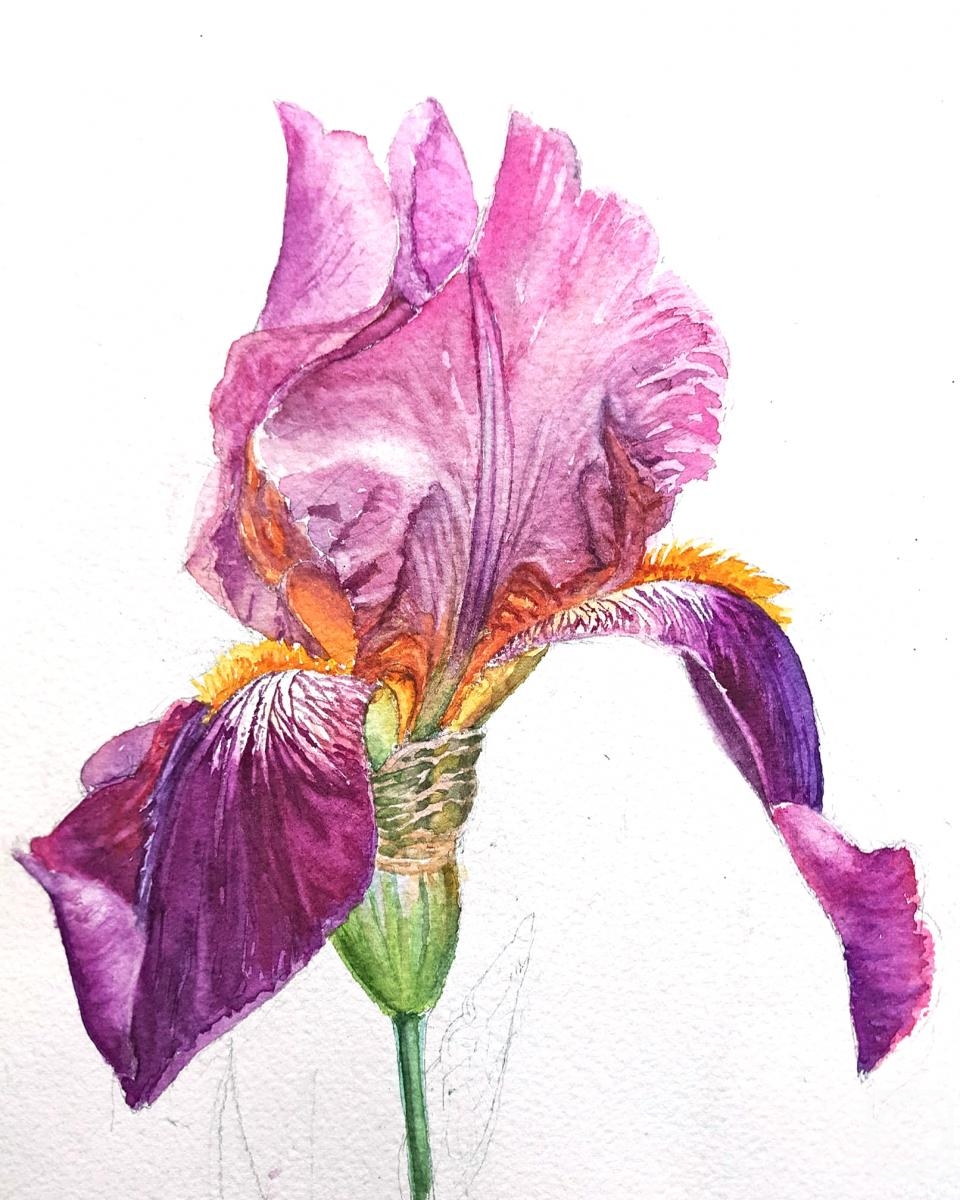 Tarasova Irena. Irises (fragment)