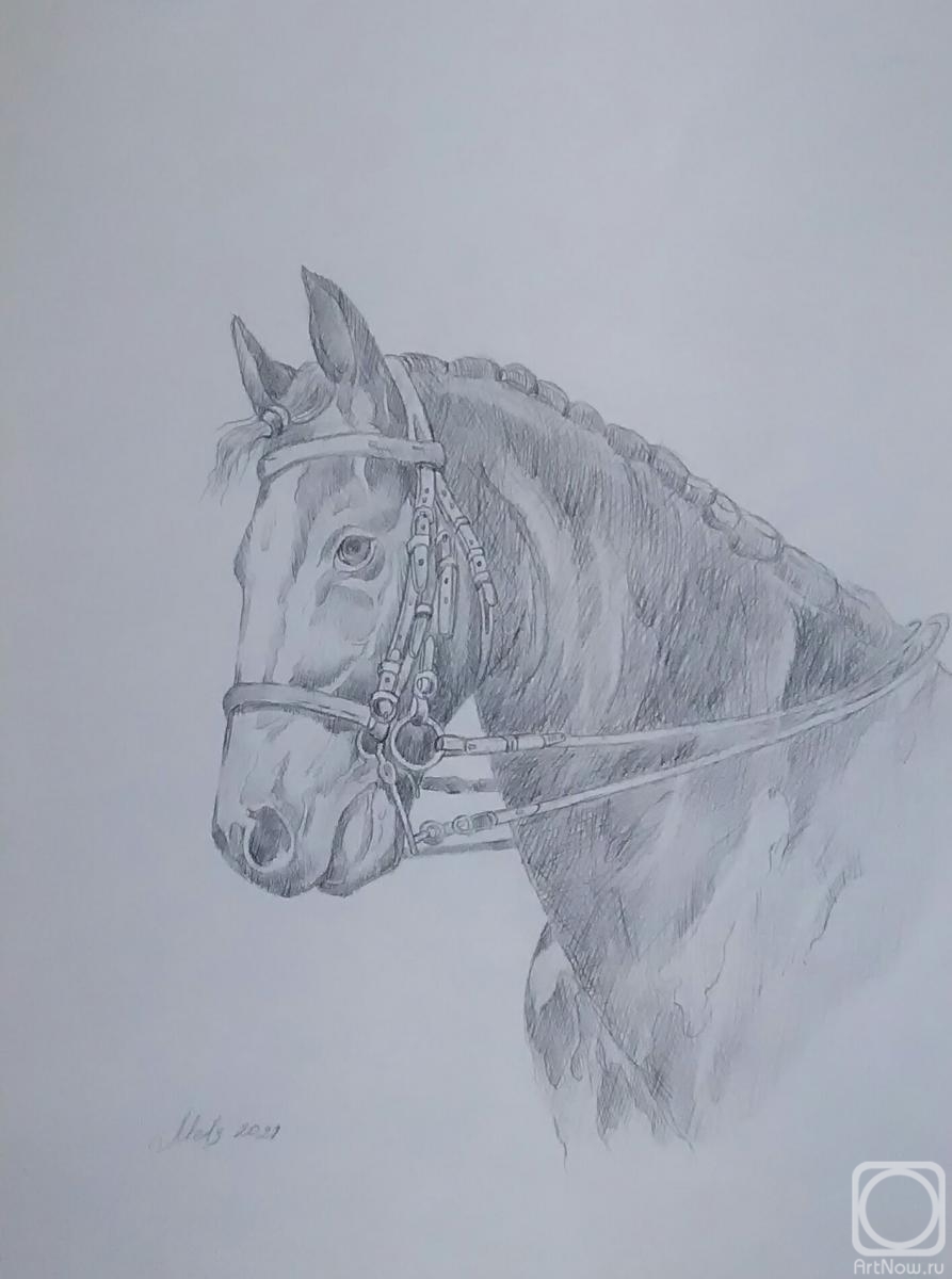 Конь» картина Мец Екатерины (бумага, карандаш) — купить на ArtNow.ru