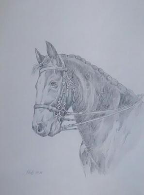 Horse. Mets Ekaterina