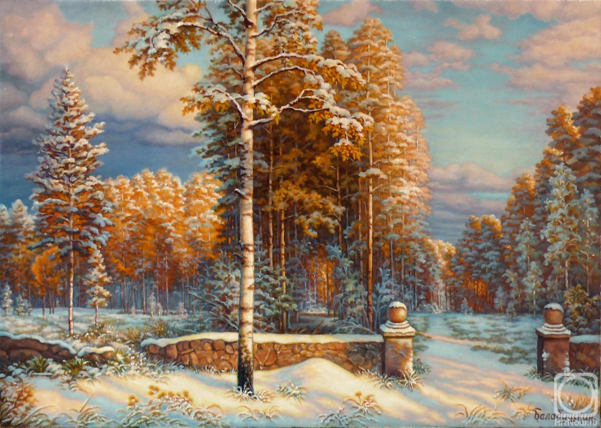 Balabushkin Sergey. The first snow in the old park