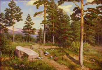 Pine trees on the chalk mountains. Balabushkin Sergey