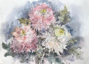 Chrysanthemums. Kurnosenko Antonina
